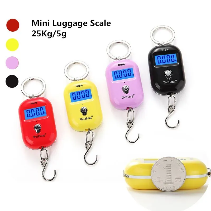 Balance numérique de pêche électronique compacte 25 kg / 5 g, balance de poche pour bagages avec crochet et écran LCD - Image 1