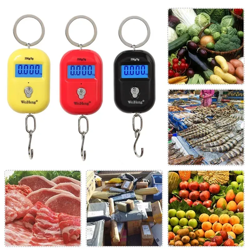 Balance numérique de pêche électronique compacte 25 kg / 5 g, balance de poche pour bagages avec crochet et écran LCD 6