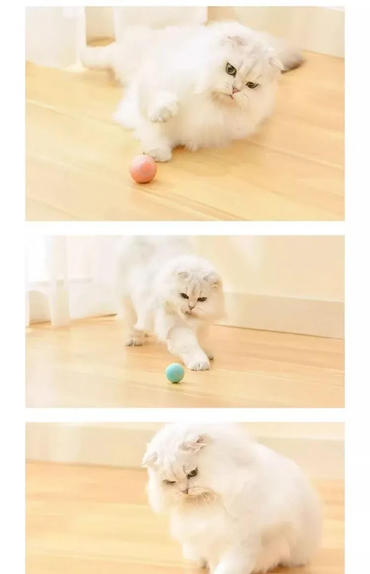 Jouet pour chat à rouleau automatique