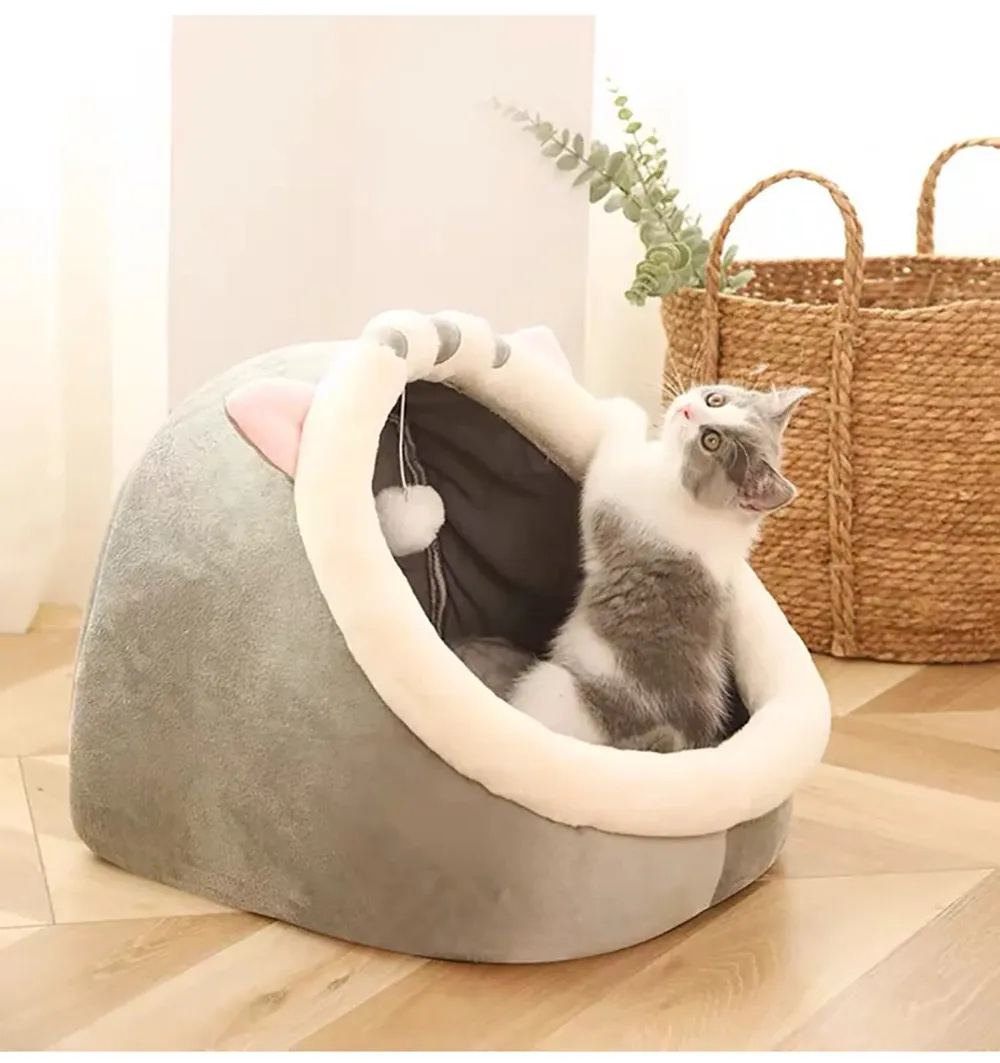 Lit pour chat en situation