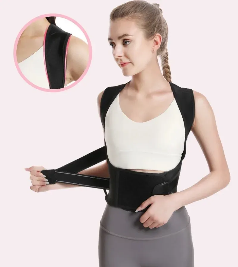 Ceinture de posture, mise en valeur