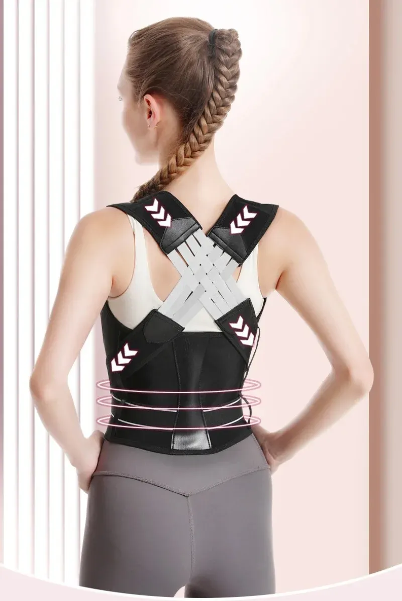 Ceinture de posture, vue détaillée