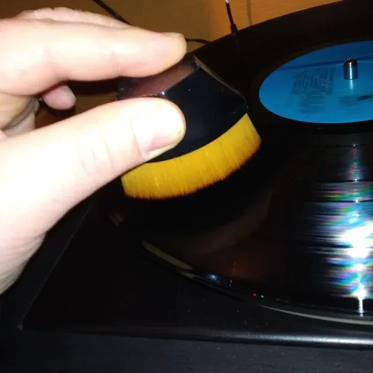 Brosse de nettoyage pour disques vinyles, détail des poils