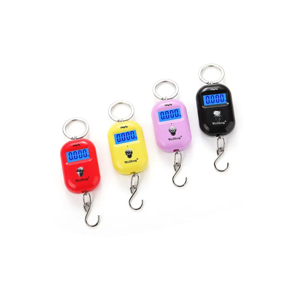 Mini balance numérique de pêche 25 kg / 10 g, portable et suspendue, pour peser les bagages - Image 1