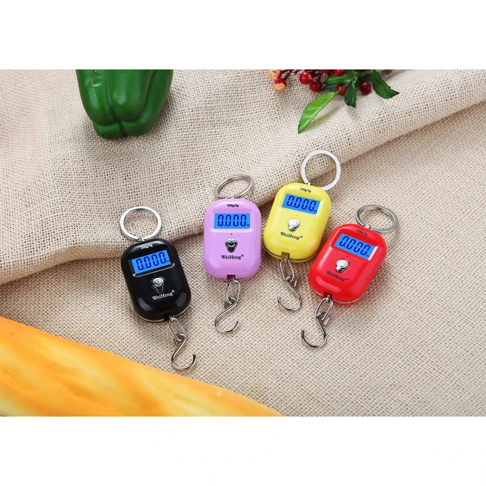 Mini balance numérique de pêche 25 kg / 10 g, portable et suspendue, pour peser les bagages 2