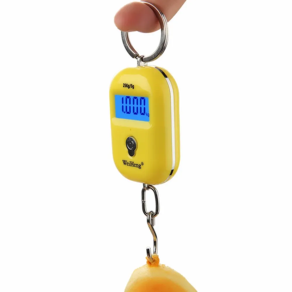 Mini balance numérique de pêche 25 kg / 10 g, portable et suspendue, pour peser les bagages 6