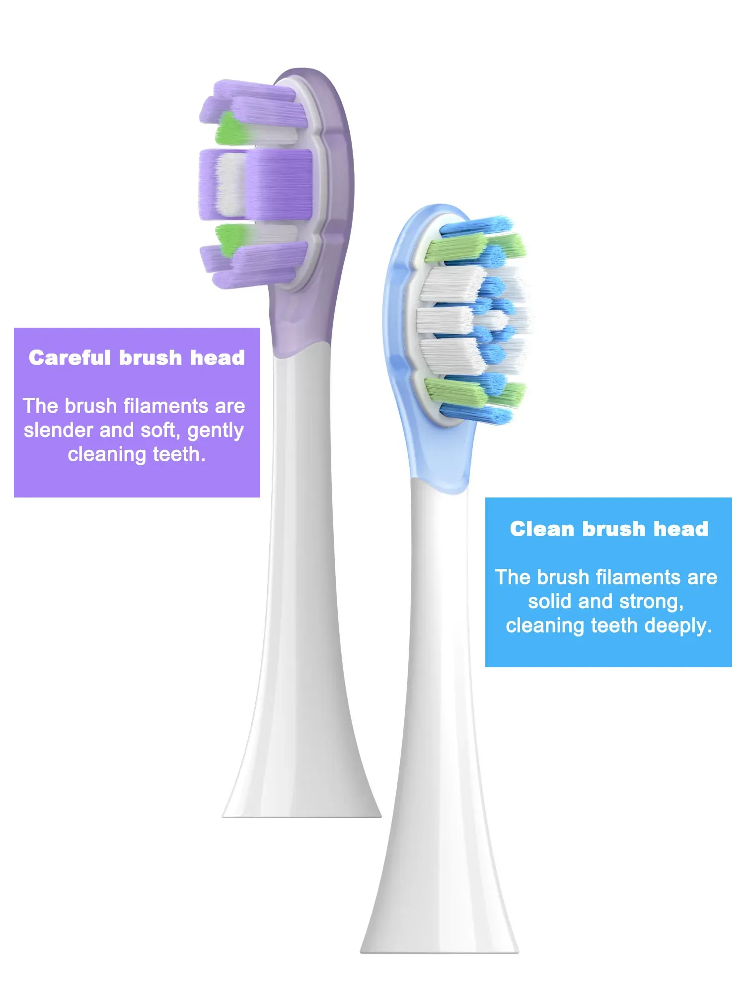 Détail des poils souples des têtes de brosse