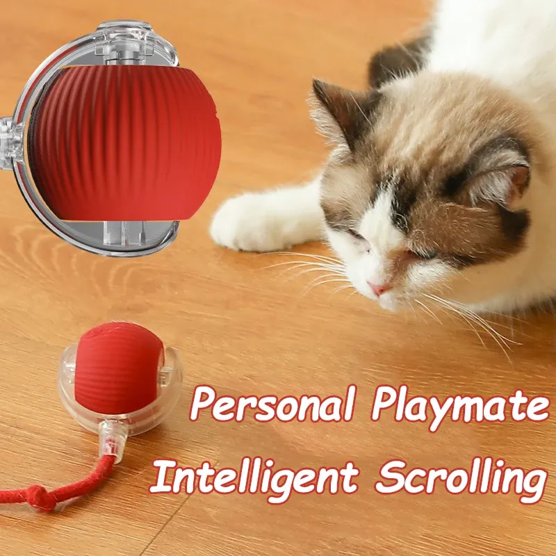 Balle roulante électrique intelligente pour animaux de compagnie, jouet interactif pour chat avec fausse queue et imitation de souris 3