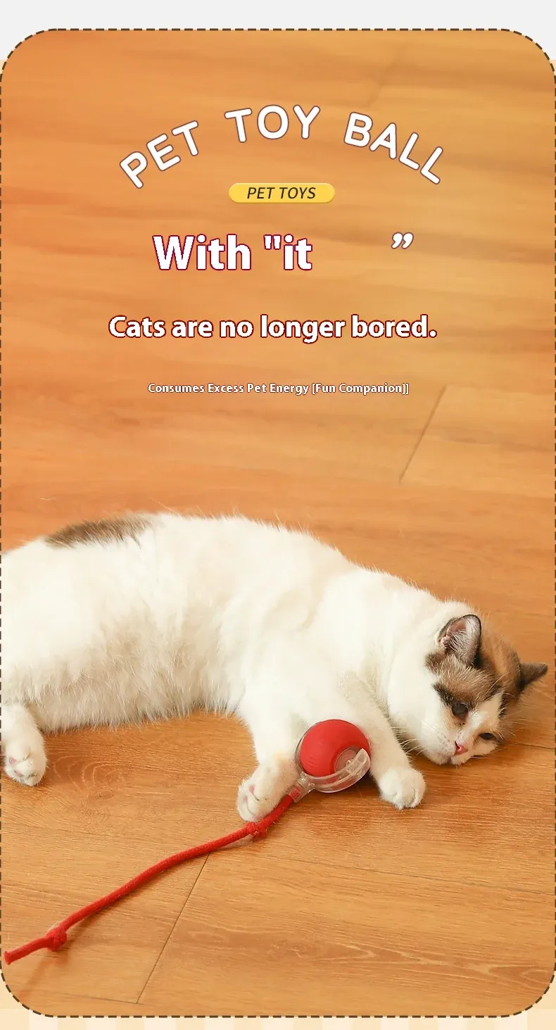 Balle interactive en action avec un chat