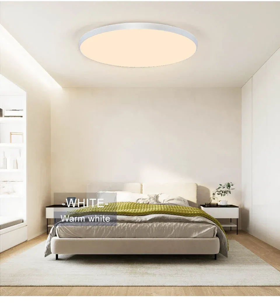 Détail du plafonnier LED moderne
