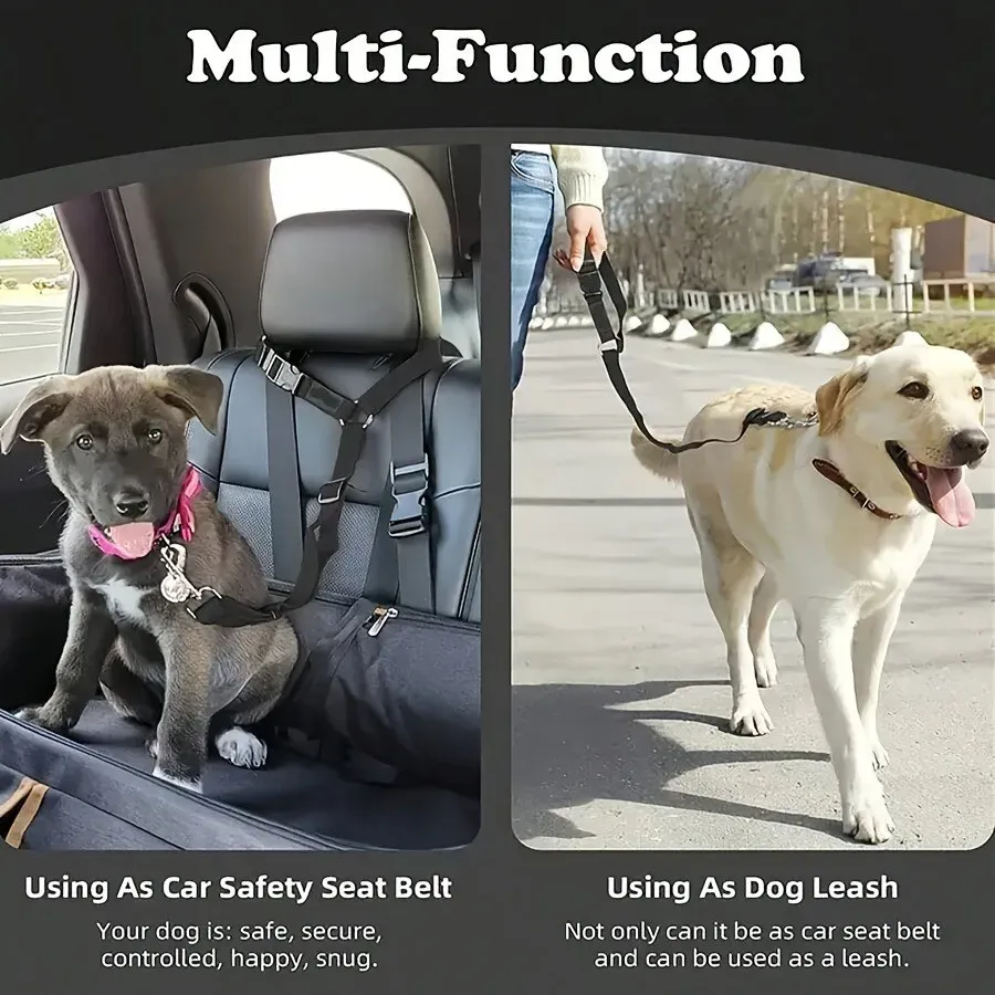 Ceinture de sécurité pour chien avec laisse intégrée 3
