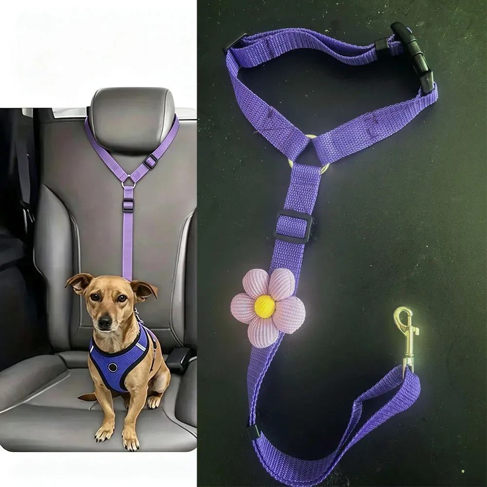 Ceinture de sécurité pour chien avec laisse intégrée 9