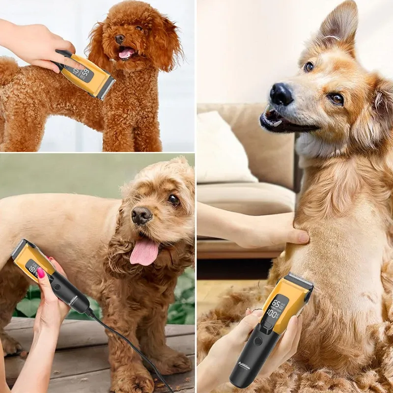 Tondeuse professionnelle pour animaux de compagnie, rechargeable par USB-C, pour chiens, chats et chiots de toutes tailles 3