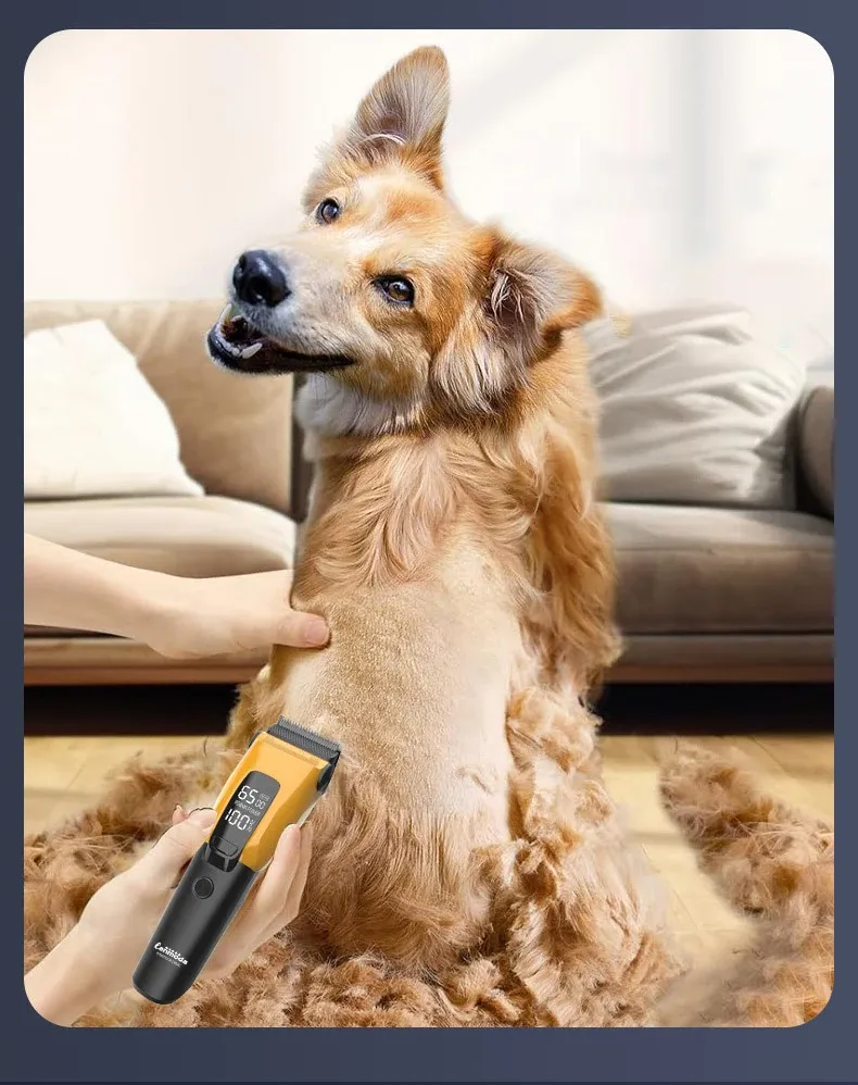 Détail de la tondeuse pour animaux