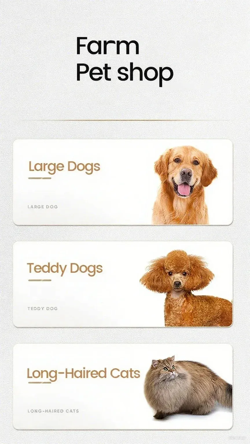 Tondeuse pour chiens et chats, détail du design