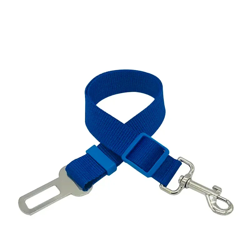 Laisse et collier pour chien