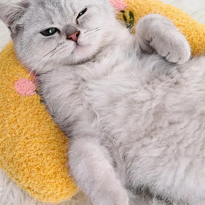 Petit oreiller en forme de beignet pour chats, jouet apaisant ultra doux et moelleux 2