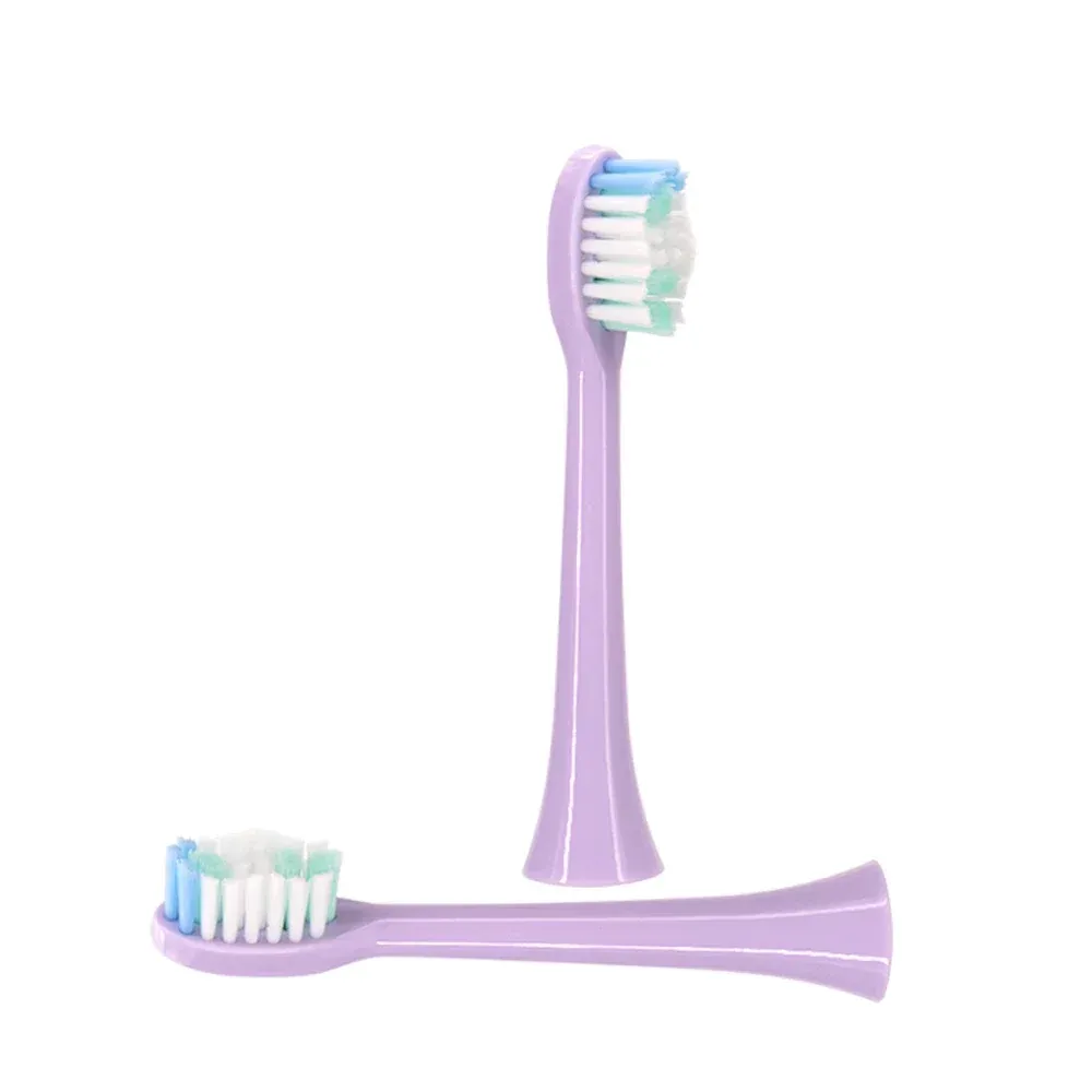 Têtes de brosse à dents en situation d'utilisation