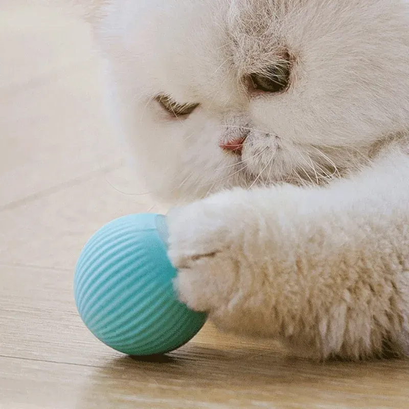 Boule interactive automatique pour chat 4