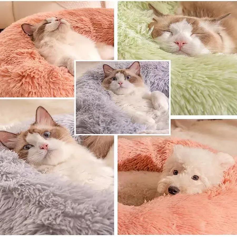 Coussin de couchage en peluche pour animaux de compagnie, ambiance intérieure