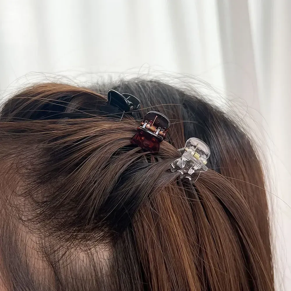 Mini pinces à cheveux transparentes, style