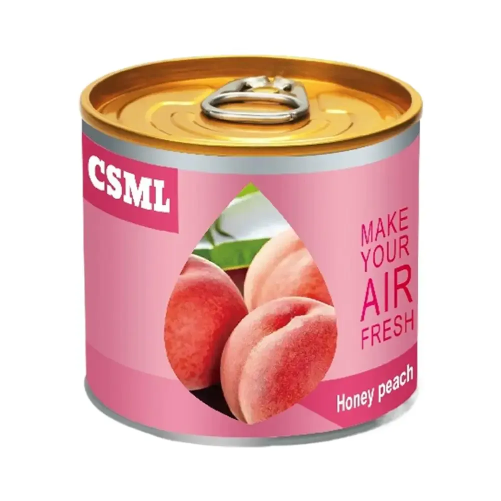 Désodorisant solide bio parfum chewing-gum en boîte pour voiture et maison, longue durée 12