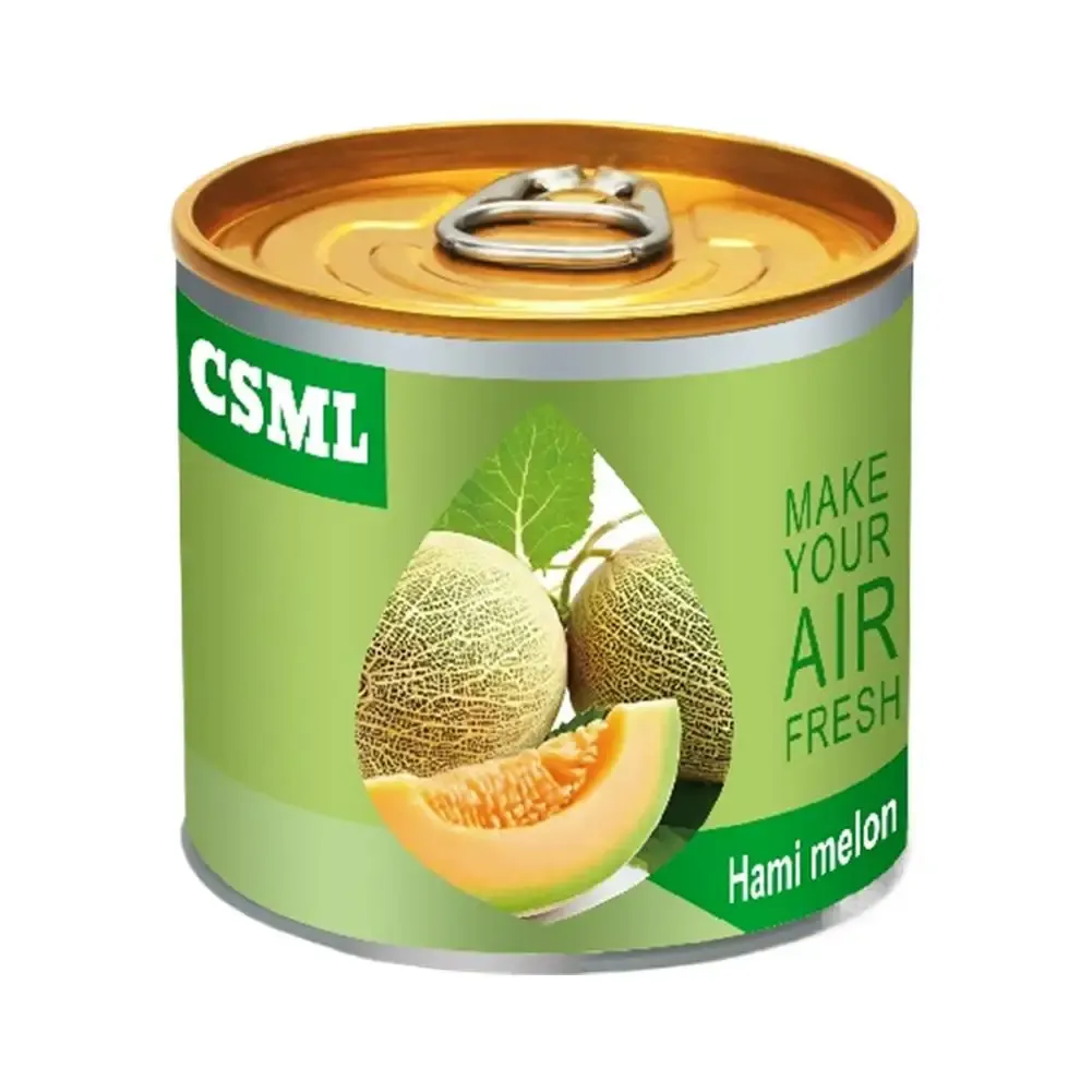 Désodorisant solide bio parfum chewing-gum en boîte pour voiture et maison, longue durée 9