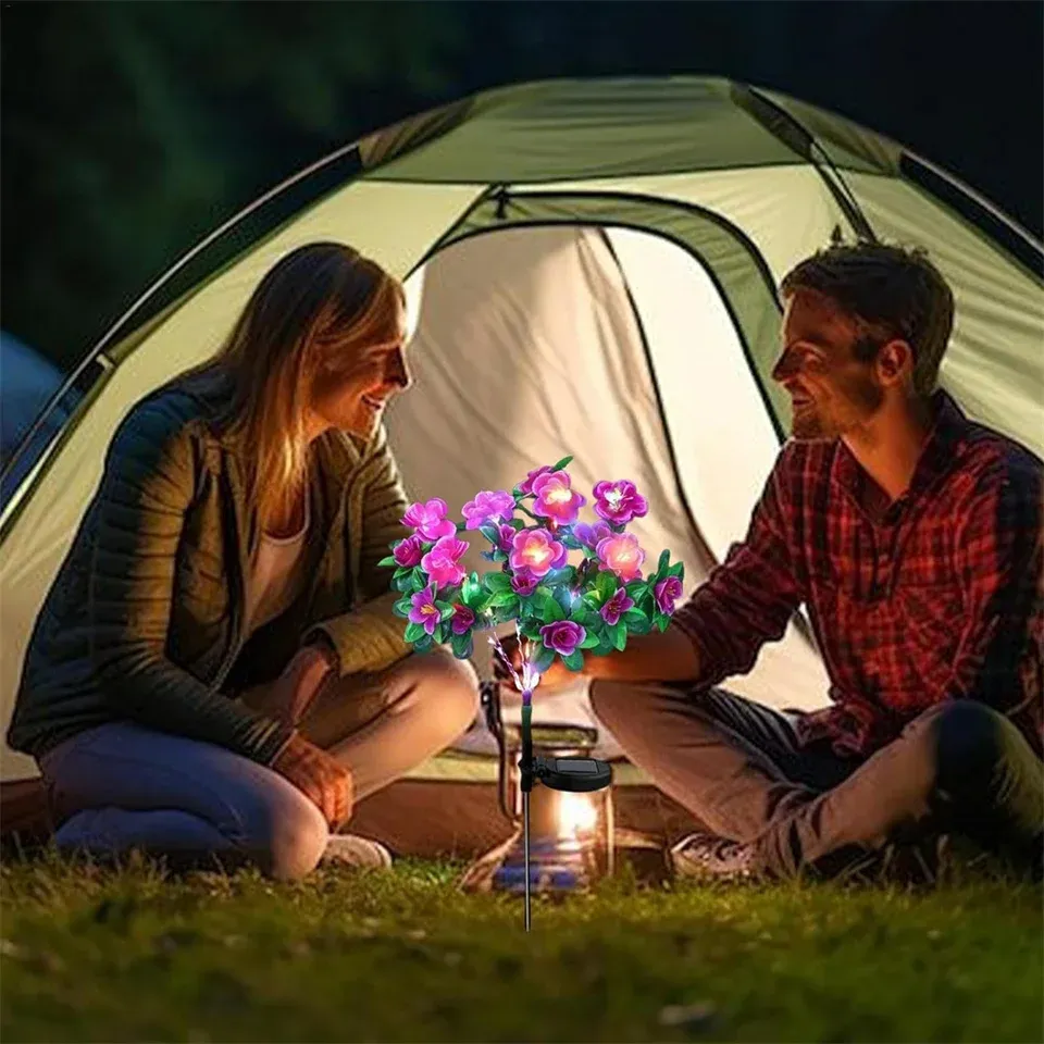 Lumières colorées dans un jardin nocturne