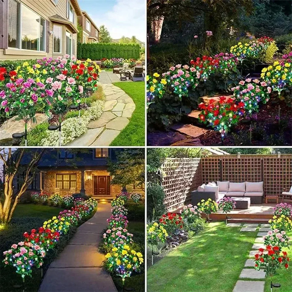 Fleurs solaires d'azalée pour un jardin raffiné