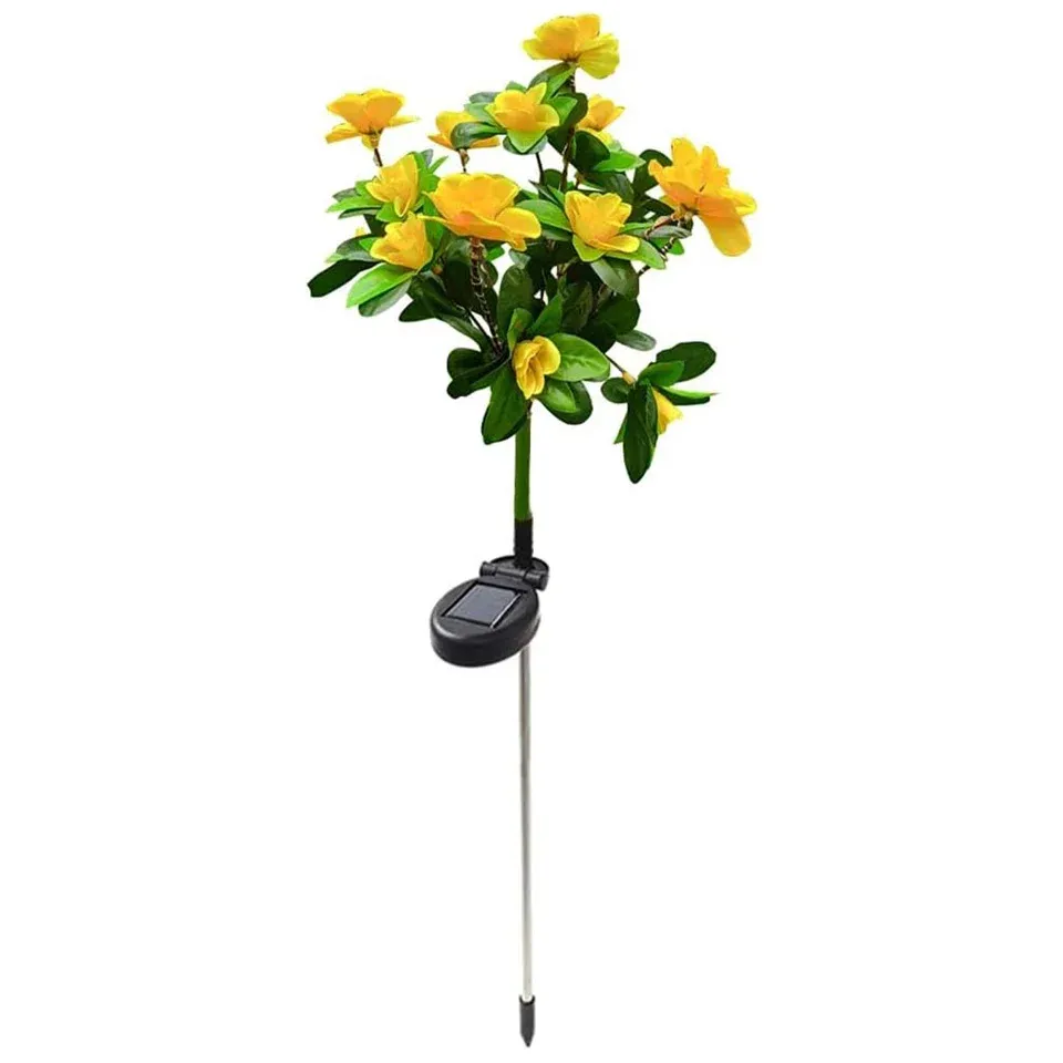 Fleurs solaires d'azalée dans un décor extérieur