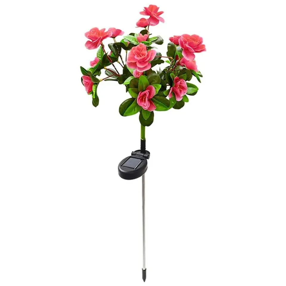 Gros plan sur les fleurs lumineuses