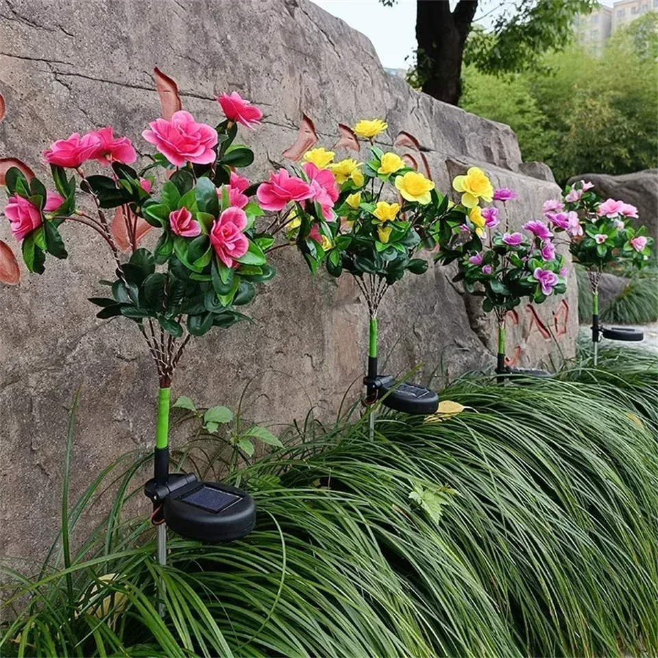 Fleurs solaires disposées dans un jardin