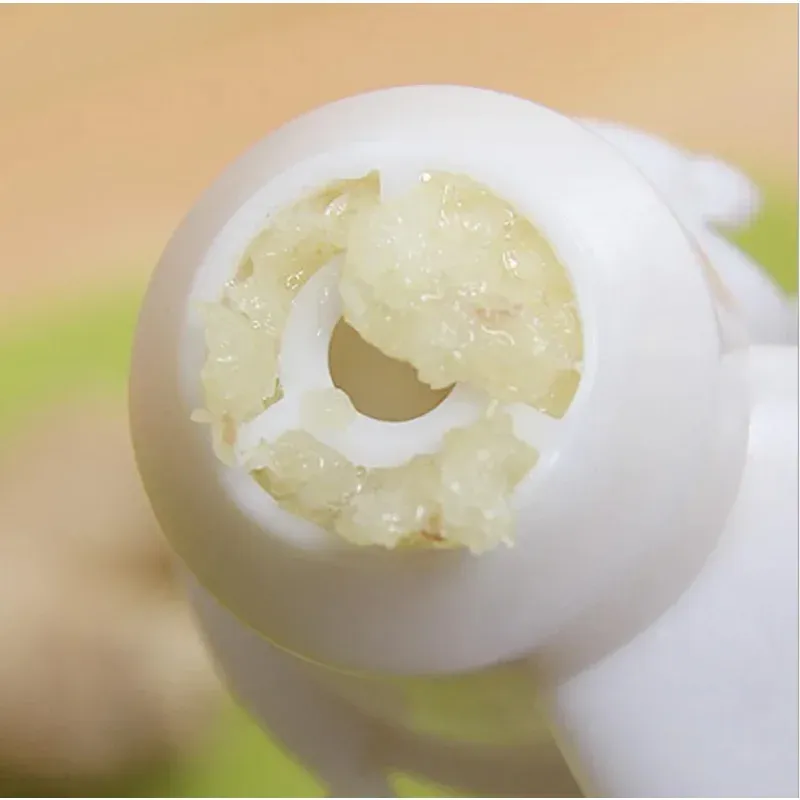 Presse-ail au gingembre et coupe-fruits et légumes 2
