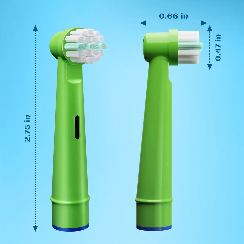 Têtes de brosse à dents colorées