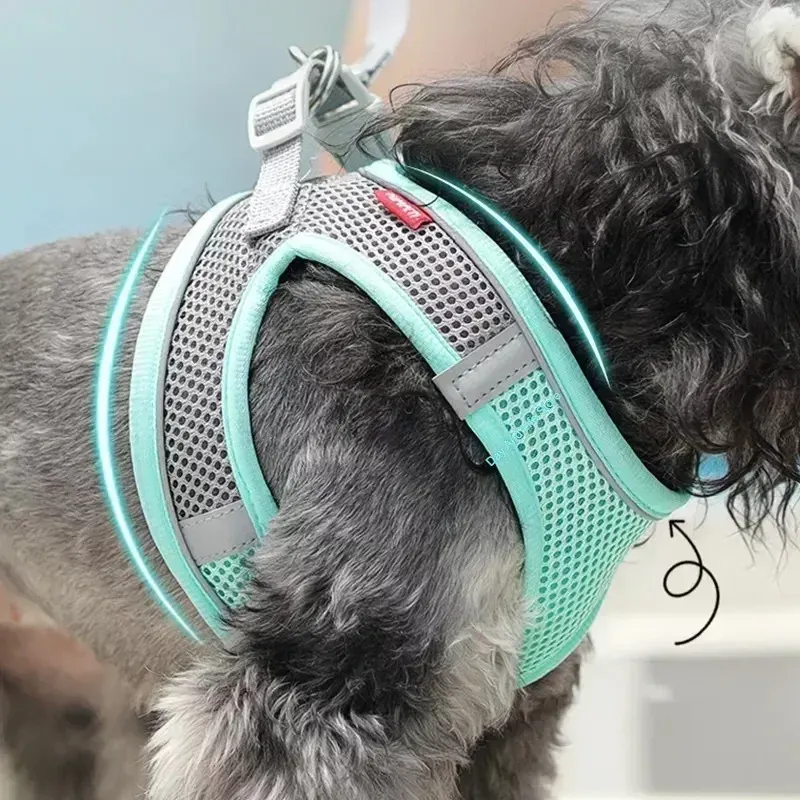 Ensemble d'accessoires réglables pour chiots et chats : collier et laisse pour petits chiens, bouledogue français et chihuahua 2
