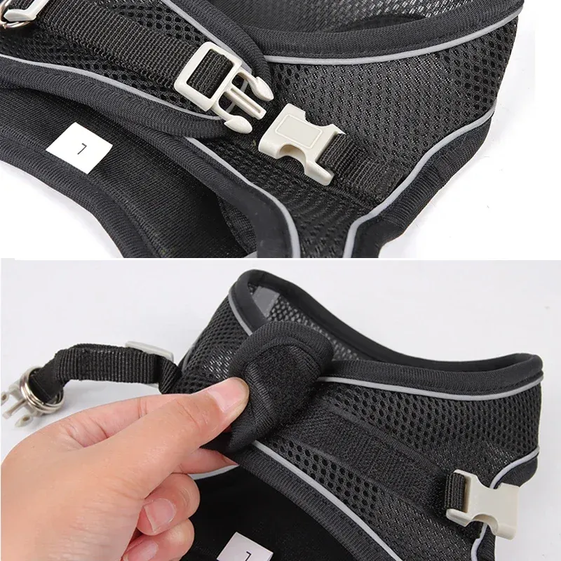 Ensemble d'accessoires réglables pour chiots et chats : collier et laisse pour petits chiens, bouledogue français et chihuahua 4
