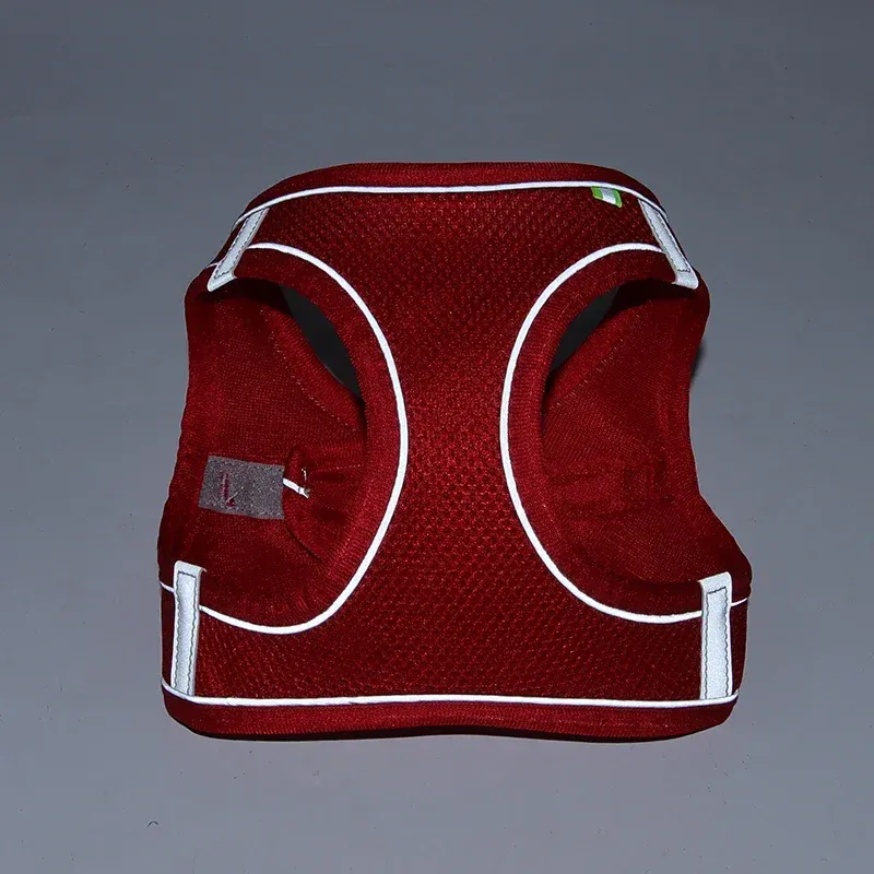 Ensemble d'accessoires réglables pour chiots et chats : collier et laisse pour petits chiens, bouledogue français et chihuahua 6