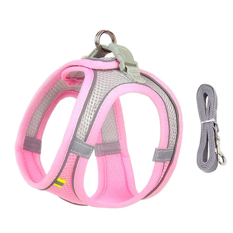 Harnais pour chiot et chat, accessoires associés