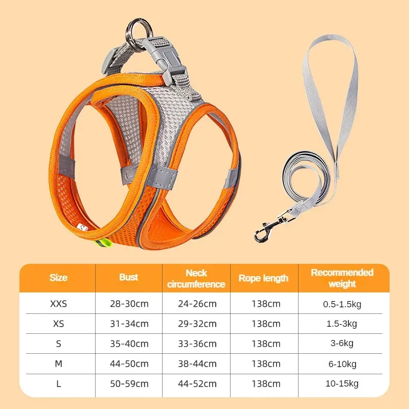 Ensemble d'accessoires réglables pour chiots et chats : collier et laisse pour petits chiens, bouledogue français et chihuahua 7