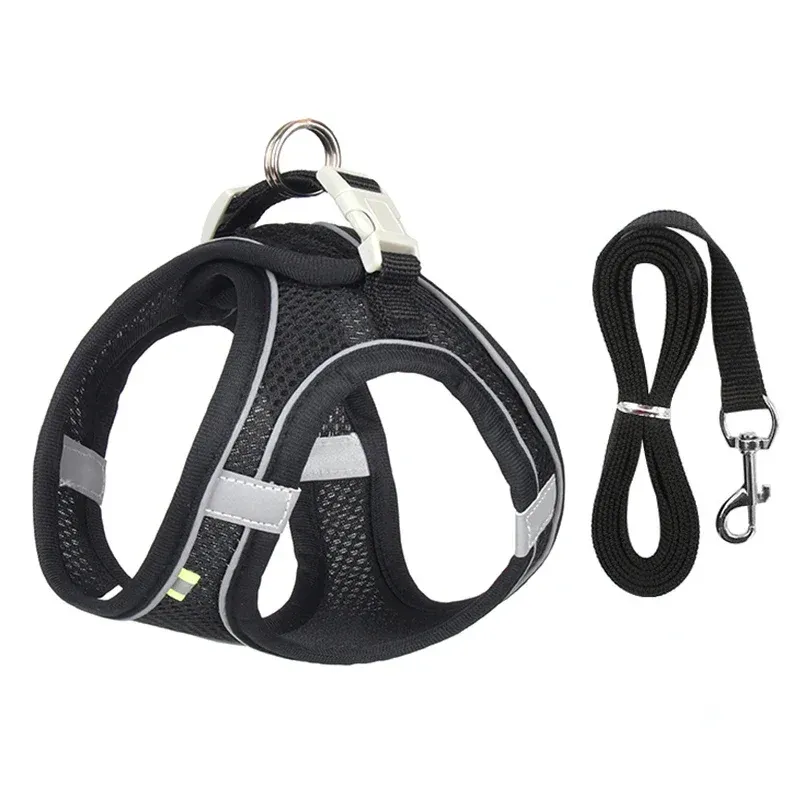 Ensemble d'accessoires réglables pour chiots et chats : collier et laisse pour petits chiens, bouledogue français et chihuahua 8