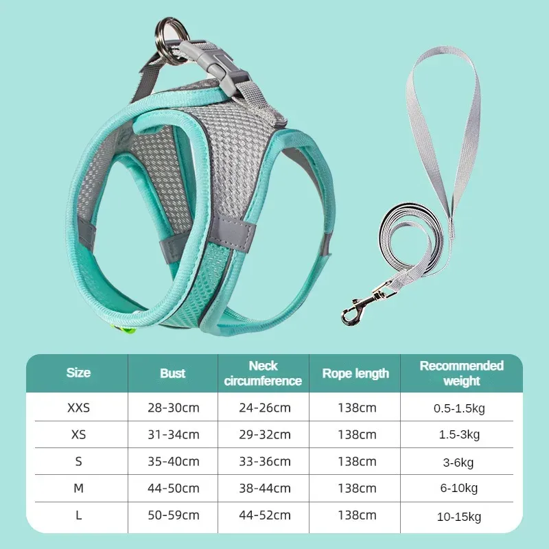 Ensemble d'accessoires réglables pour chiots et chats : collier et laisse pour petits chiens, bouledogue français et chihuahua 9
