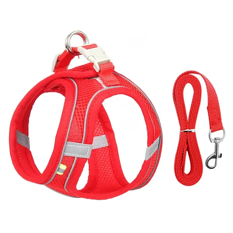 Ensemble d'accessoires réglables pour chiots et chats : collier et laisse pour petits chiens, bouledogue français et chihuahua 10