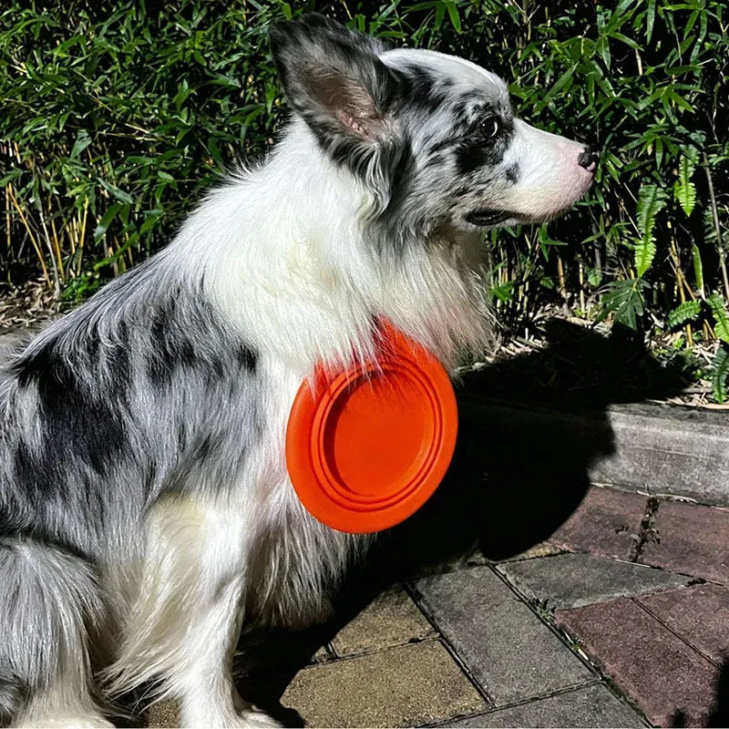 Gamelle pliable en silicone pour chien et chat avec mousqueton, idéale pour le voyage, la randonnée et le camping 5