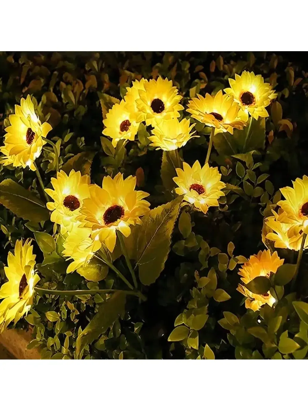 Lampe de tournesol solaire pour l'extérieur