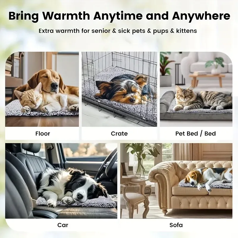 Chien installé confortablement sur le matelas