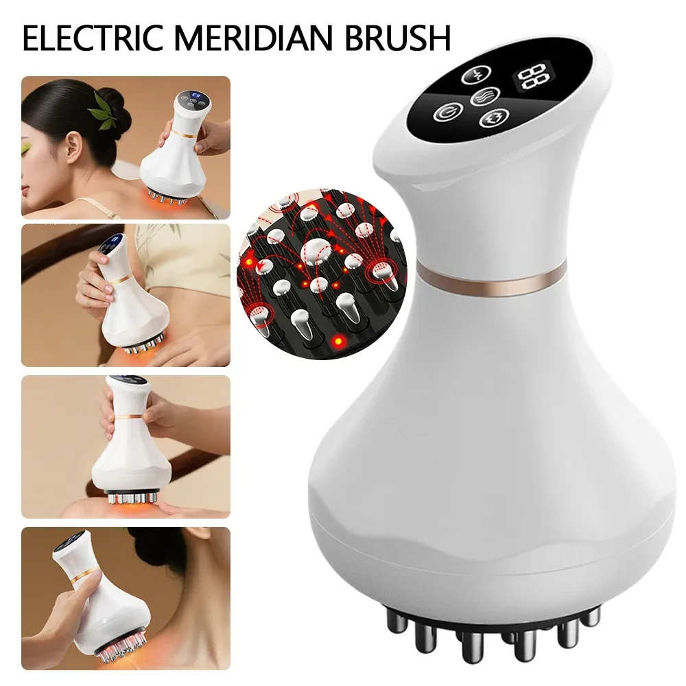 Brosse électrique vibrante pour méridiens, vue d'ensemble