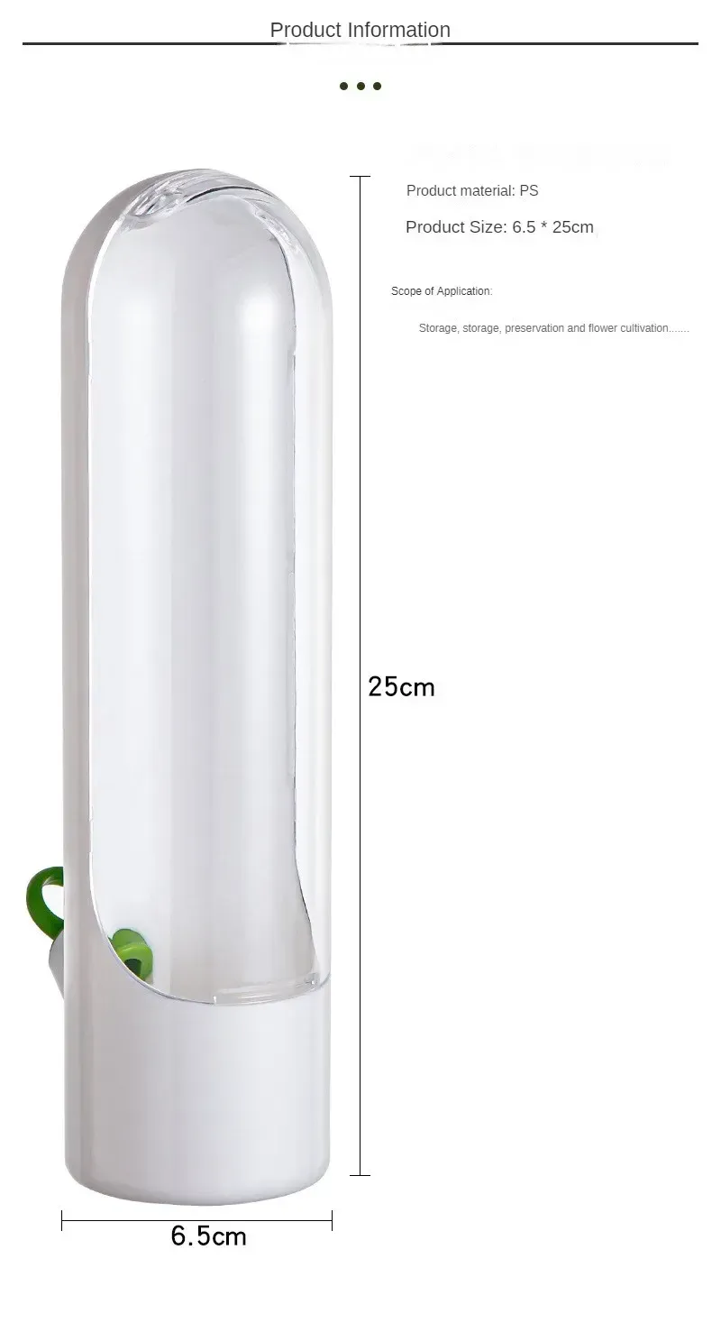 Rangement de légumes dans le bac du réfrigérateur