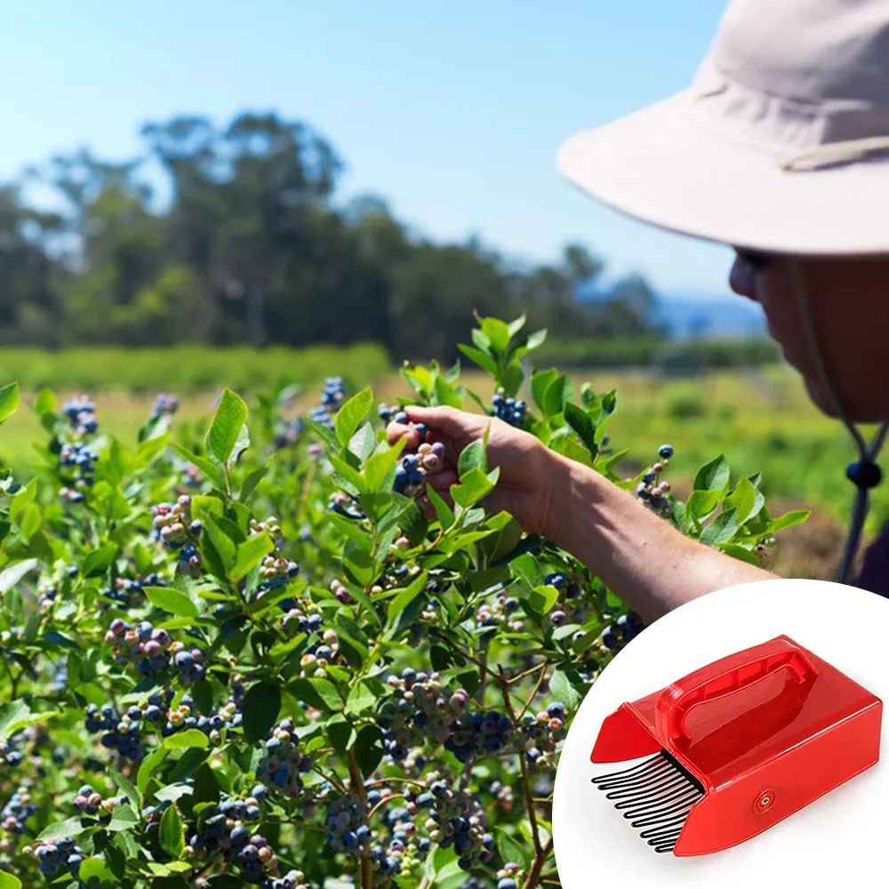 Cueilleur de baies portable avec peigne, outil de récolte à main pour fruits, pour jardin et ferme – PINCEF 2