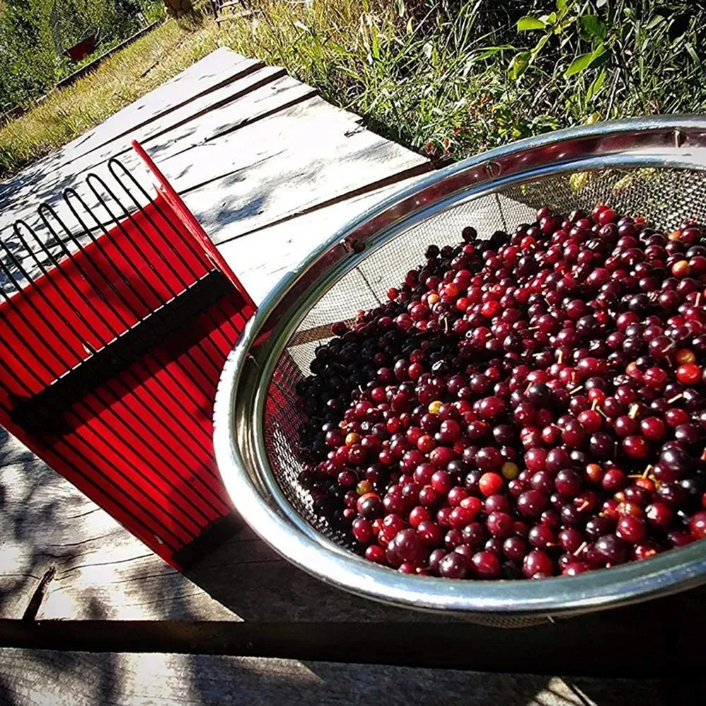 Cueilleur de baies portable avec peigne, outil de récolte à main pour fruits, pour jardin et ferme – PINCEF 5