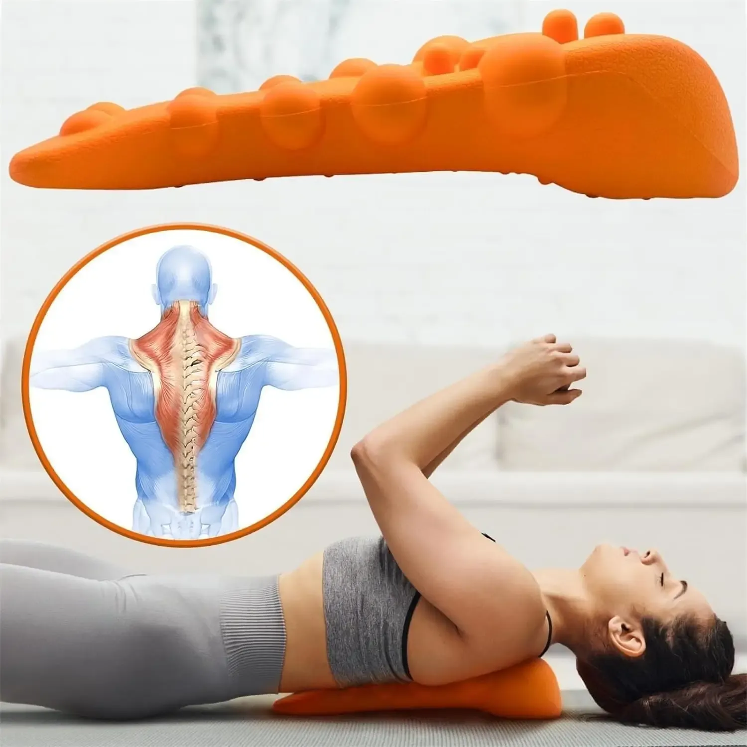 Trapezius en situation d'utilisation